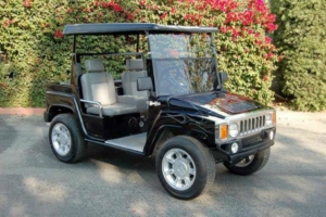 affordable golf cart rental, golf cart rent sunnyvale golf cart rental