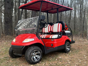 sunnyvale golf cart rental, golf cart rentals
