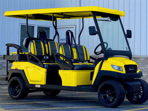 golf cart rental sunnyvale, sunnyvale golf cart rental